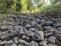 rock texture of a small river when the water recedes in a village in Indonesia 2