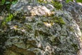 Rock texture on a sunny day Royalty Free Stock Photo