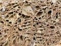 Rock texture surface ,that has been corrosion