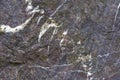 Rock textures Royalty Free Stock Photo