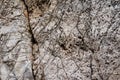 Structure of rockface Royalty Free Stock Photo