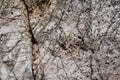 Structure of rockface Royalty Free Stock Photo