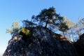 Rock tree landscape Fondry des Chiens, Nismes, Viroinval, Belgium Royalty Free Stock Photo
