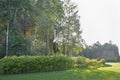 Rock, trees and bushes