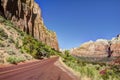 Rock, Trees, Roadway Zion National Park