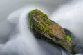 Rock in a tumultuous mountain river, big stone in water covered by amazing green moss in a beautiful autumn day Royalty Free Stock Photo