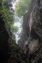 Rock valley with fresh green trees in Aare gorge Aareschlucht