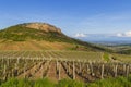 Rock of Vergisson with vineyards, Burgundy,France