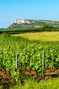 The Rock Of Vergisson and wine yard's, Burgundy, France