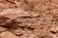 rock wall of a canyon stone texture Royalty Free Stock Photo
