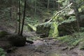 Rock wall in forest with stream Royalty Free Stock Photo