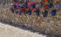 Rock wall full of attached blue flowerpots Royalty Free Stock Photo