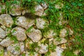 Rock wall with grass Royalty Free Stock Photo