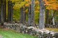 Rock wall, New England Royalty Free Stock Photo