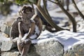 Angel figure sitting on a rock wall in the snow on a winter`s day