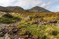 Rock wall, vegetation and stream at Croagh Patrick mountain Royalty Free Stock Photo