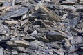 Rock waste Royalty Free Stock Photo