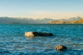 Rock on water lake with Mt.Cook background Royalty Free Stock Photo