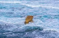 Rock and waves in the wild stormy ocean Royalty Free Stock Photo