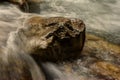 Rock in a wild river