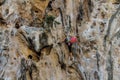 Rockclimber girl on the vertical wall climbing alone with a rope Royalty Free Stock Photo