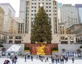 Rockefeller Center Christmas Tree and statue of Prometheus at the Lower Plaza of Rockefeller Center in Midtown Manhattan Royalty Free Stock Photo
