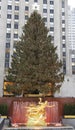 Rockefeller Center Christmas Tree and statue of Prometheus at the Lower Plaza of Rockefeller Center in Midtown Manhattan Royalty Free Stock Photo