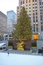 Rockefeller Center Tree and Rink