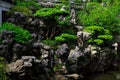 A rockery covered with green plants inside the fence