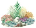 Rockery garden design