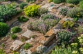 Rockery Garden