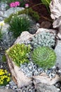 Rockery garden