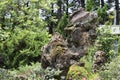 The rockery in grandee Royalty Free Stock Photo