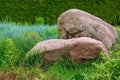 Rockery with 2 huge natural stones among green plants.