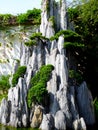 Rockery landscape