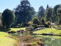 Rockery or Rocailles, Conservatory and Botanical Garden of the City of Geneva Conservatoire et Jardin Botaniques - Switzerland