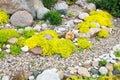 Rockery rock garden Royalty Free Stock Photo