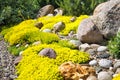 Rockery rock garden