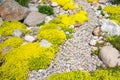 Rockery rock garden Royalty Free Stock Photo