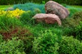 Rockery with two large natural stones among different green plants.