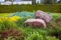 Rockery with two large natural stones among green plants.