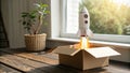 Rocket Launch from Cardboard Box Startup Concept Royalty Free Stock Photo