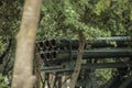 Rocket Launcher Military Vehicle between trees in Lebanon