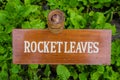 Rocket leaves board in the garden