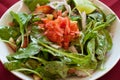 Rocket salad, lebanese food. Royalty Free Stock Photo