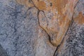 Rockface with cracks, veins and multiple colors