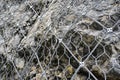 Rockfall protection nets