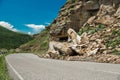 Rockfall on the road in the mountains.