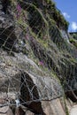 Rockfall safety net covered with flowers. Steel grid over a rock surface Royalty Free Stock Photo