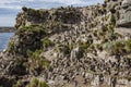 Rockhopper Penguin Colony - Falkland Islands Royalty Free Stock Photo